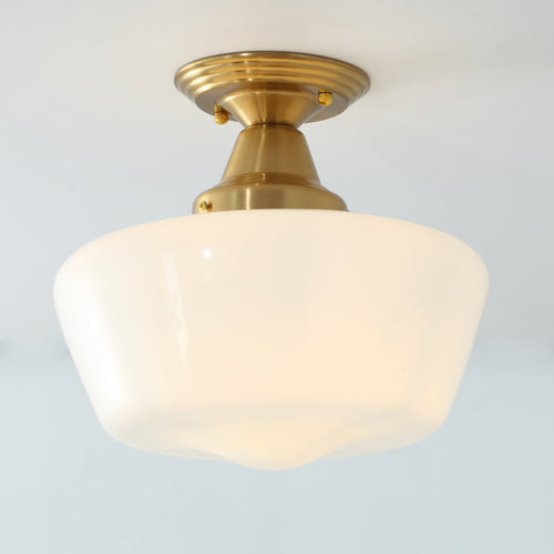 1-Light Industrial Dome Semi-Flush Mount Lighting